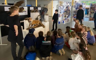 Besuch von den Jüngsten an der RSE!  – G.R.E.E.N-AG präsentiert die Ausstellung „Wilder Müll – Lebensgefahr für Tiere!“ vor 170 Grundschulkindern