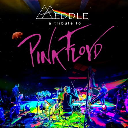 Meddle a tribute to Pink Floyd