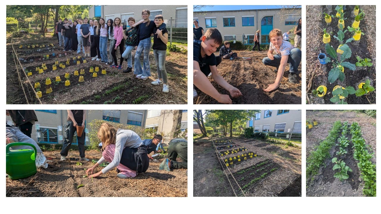 2.Pflanztermin im Garten 2.Pflanztermin im Garten