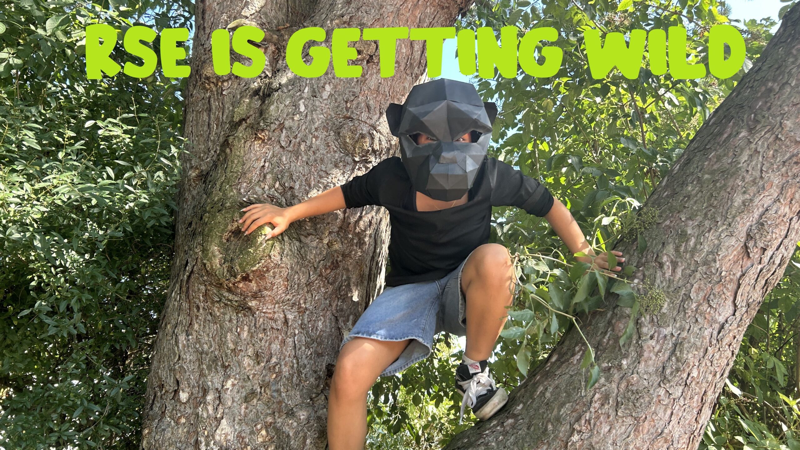 RSE is getting wild
