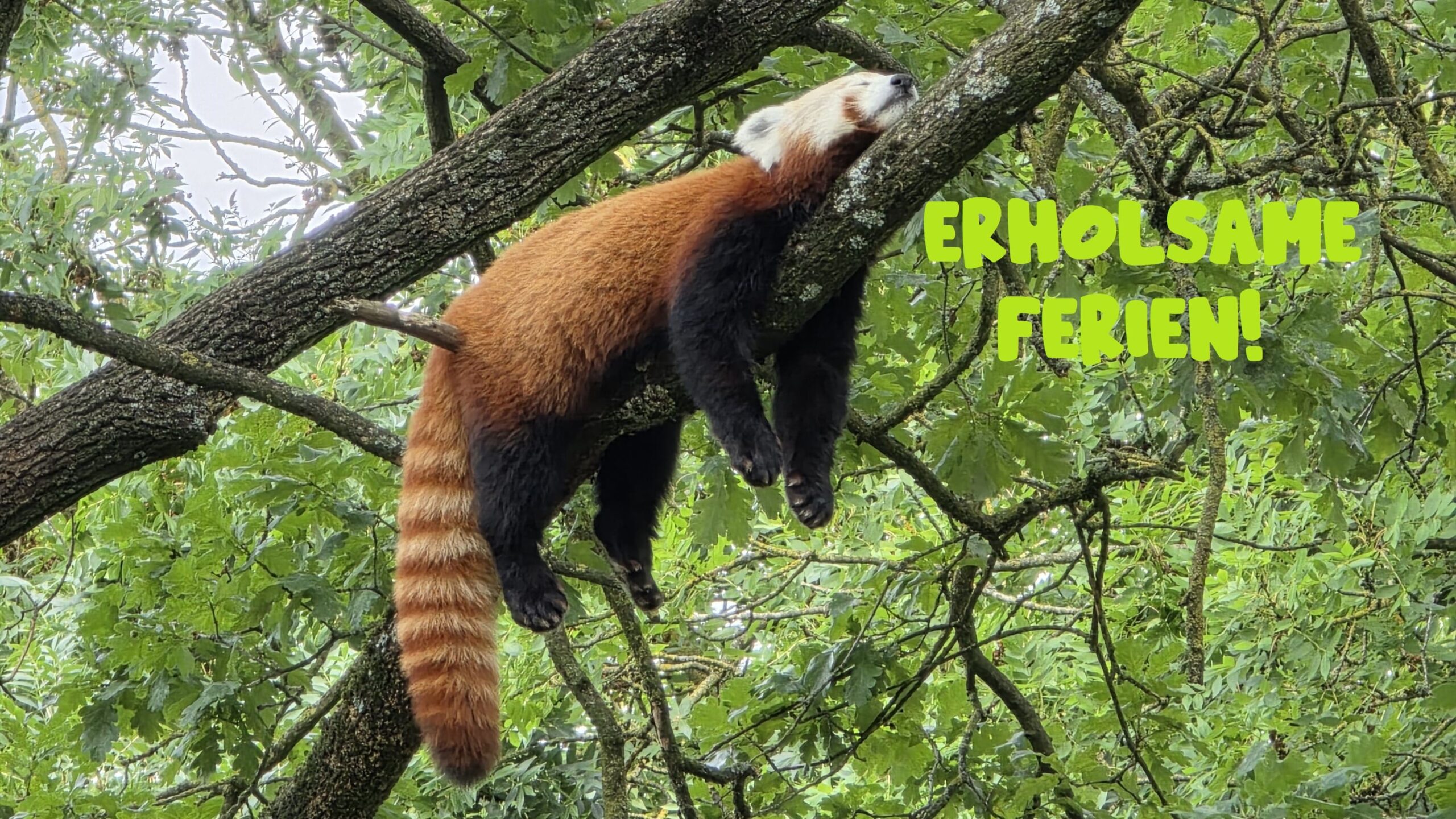 Schöne Ferien! Schöne Ferien!