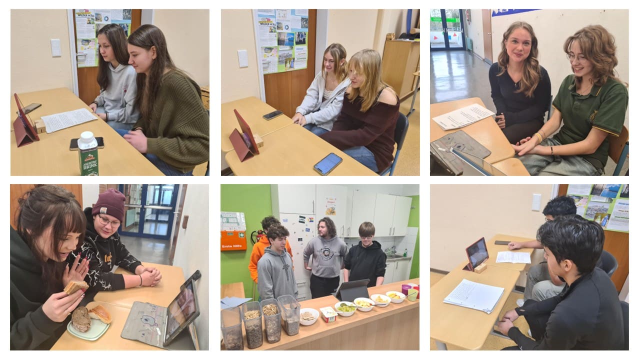 Japan Videokonferenz